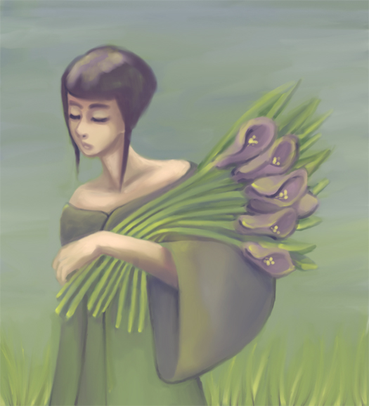 Calla lilies