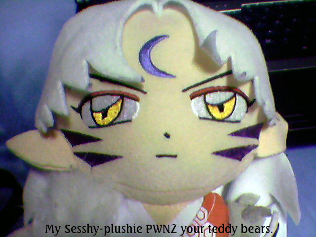 Sesshy-plushie pwnz