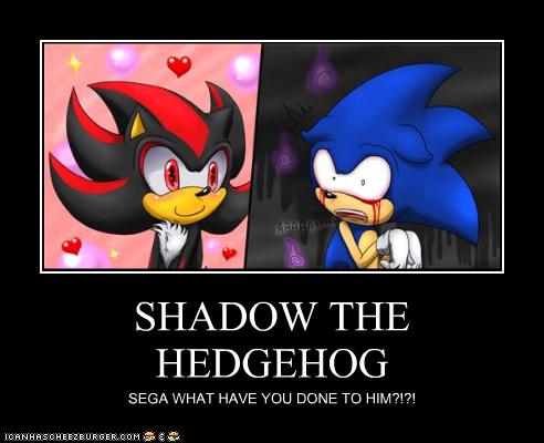 Shadow the hedgehog meme  Shadow the hedgehog, Hedgehog meme, Hedgehog