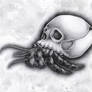 Hermit Crab.