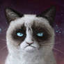 Grumpy Cat