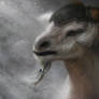 Viking Goat