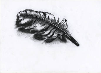 Charcoal Feather