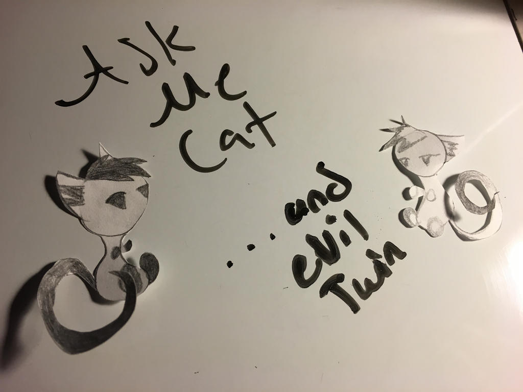 Ask Me Cat (...and evil twin)