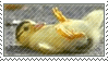 Duckling Stamp II by Traitorstar