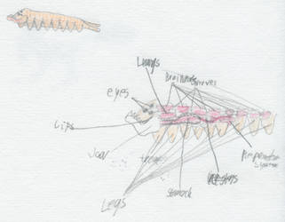 SCP-1550 and insides