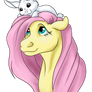 Fluttershy and Angel