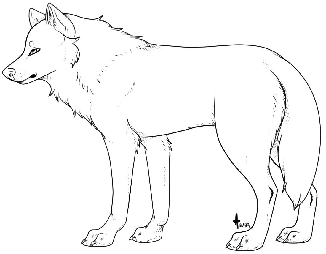 Basic Wolf Lineart another generic wolf lineart / template by stelliformed on DeviantArt