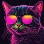 The Cool Cat