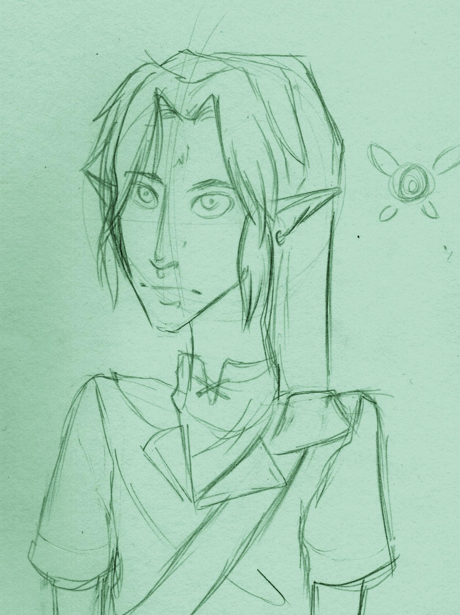 Legend of Zelda Hero by maxpanda on DeviantArt