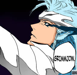 Bleach 665 : Grimmjow and Urahara VS Askin by Darohna