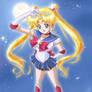 Sailor Moon Perspective