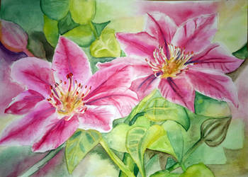 watercolour Flowers