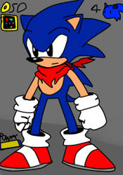 The Sonic with red scarf