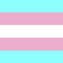 Transgender Flag (FOR SALE!)
