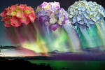Aurora Hydrangea by MostlyWood