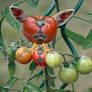Tomato Hybrid and Children