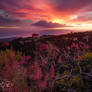 Hawaiian Sunset - Maui