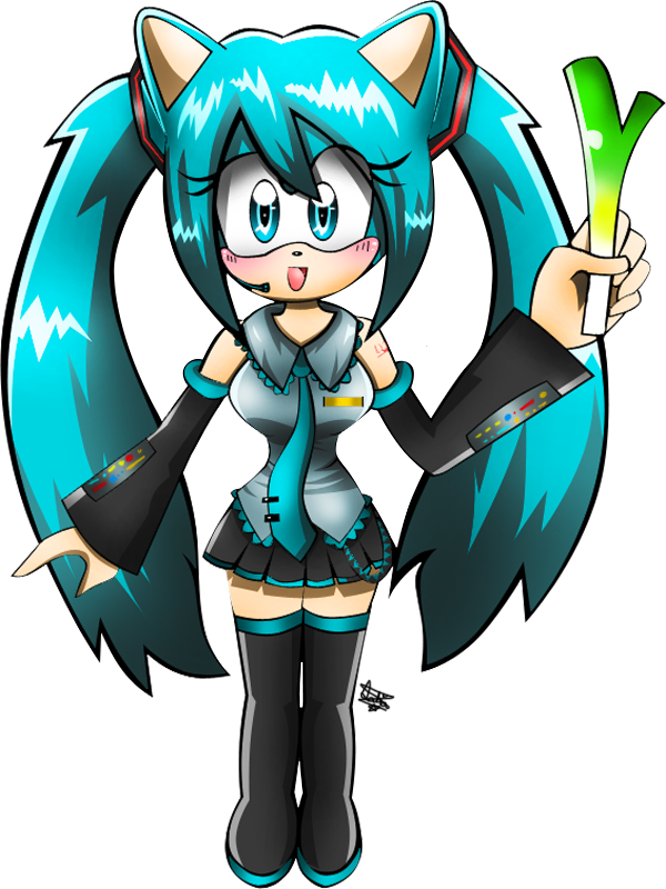 Hatsune Miku: Sonic's style