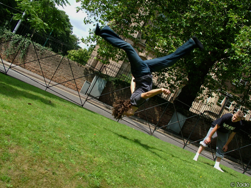 Shane - Front Walkover