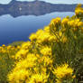 Crater Lake in Yellow and Blue