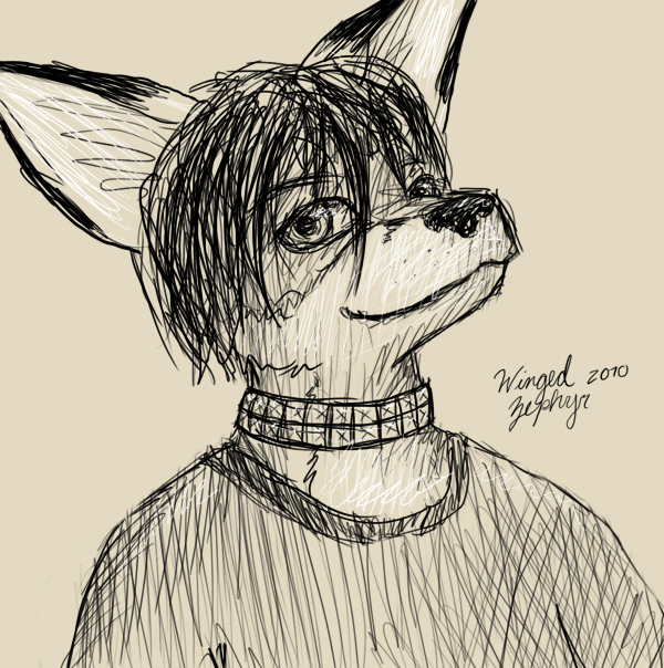 Foxy Sketchy