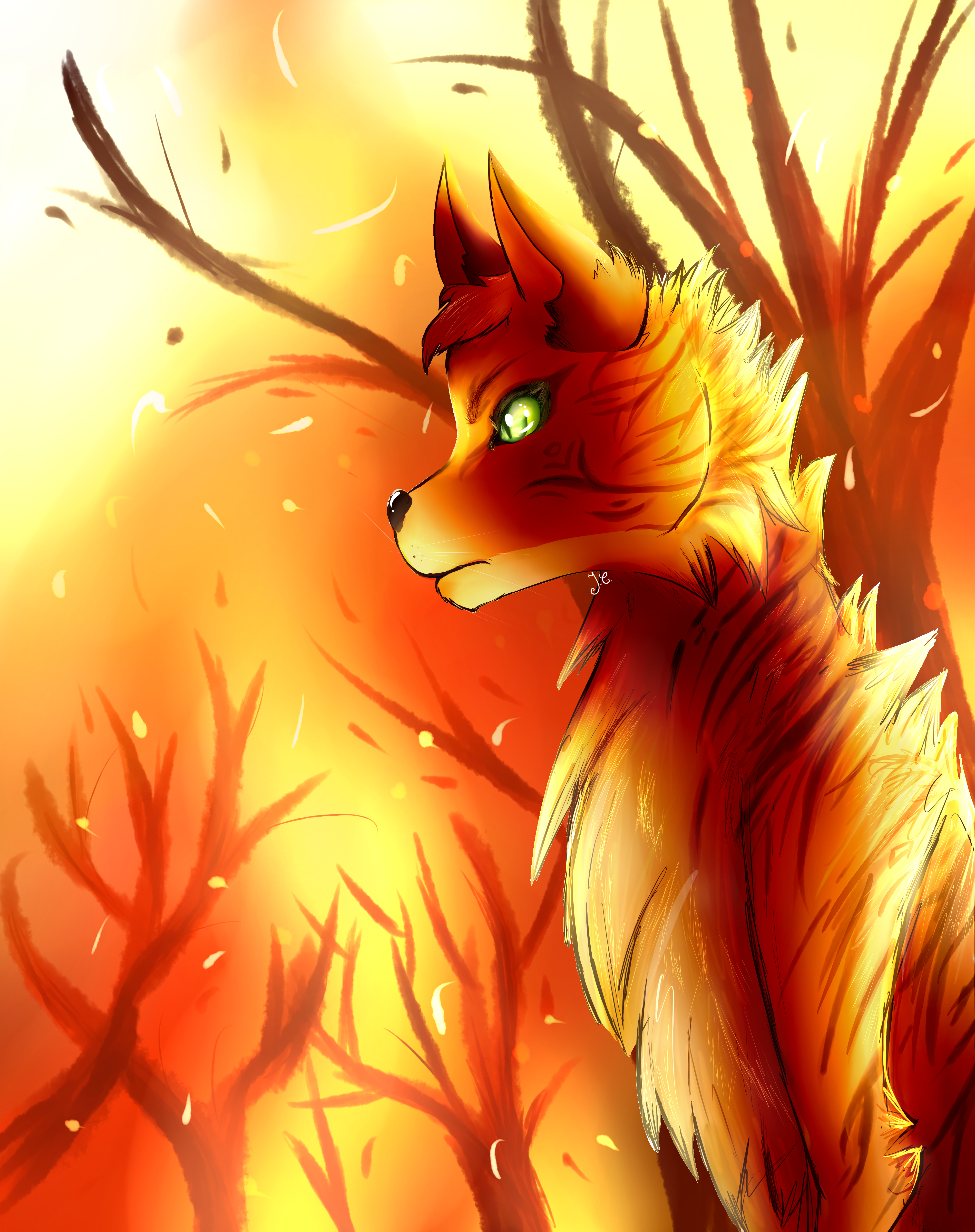 Warrior Cats : Firestar by FeysCat on DeviantArt