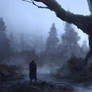 camp in the swamp