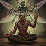 Shadowrun Insect Shaman