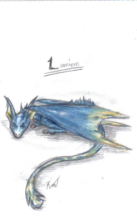 Lumiere the wyvern