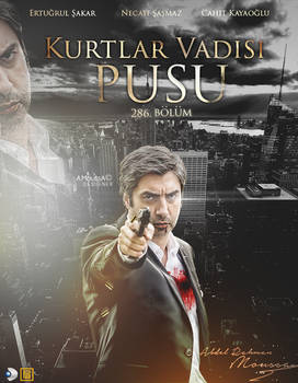 explore the best kurtlarvadisipusu art