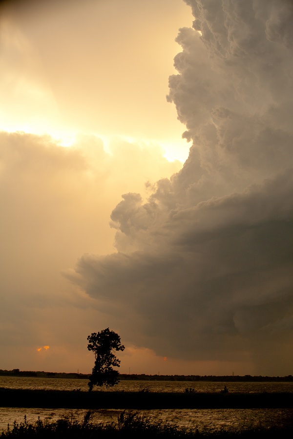 Tornado Transforming