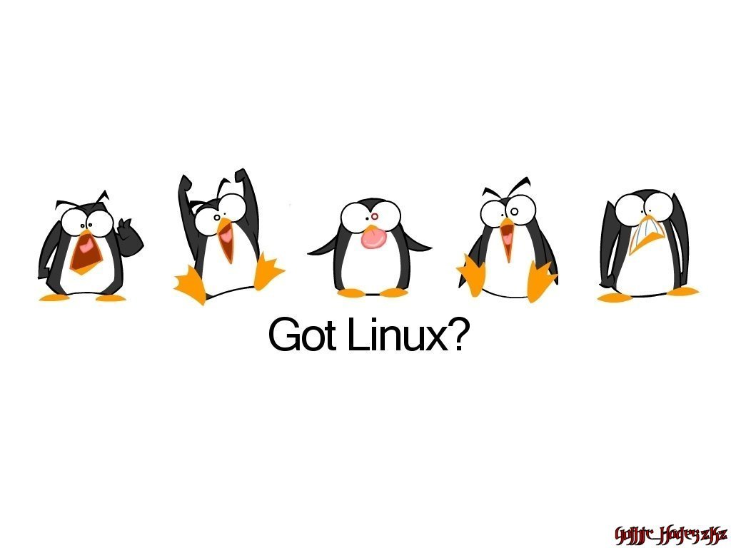 Got Linux by gothic-hades