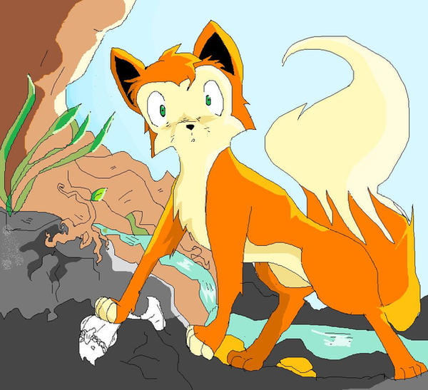 Fox Video Deviantart fox? by wolfie23 on DeviantArt