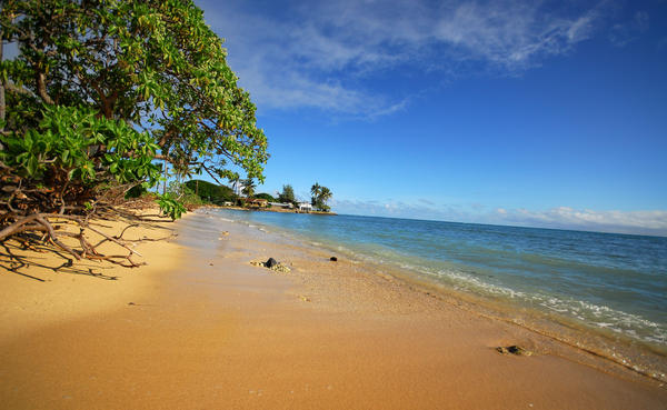 Hawaii Beach