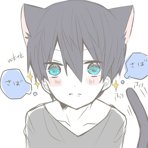 Neko haru