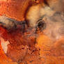 An Untitled Orange-Rust Creation