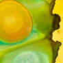 Lemon and Lime (Alcohol Ink Painting)