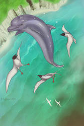 Ecco the Dolphin