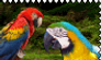 Kiriban - Macaws