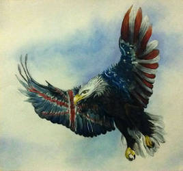 American Eagle commision