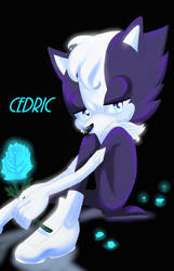 Cedric the hedgehog