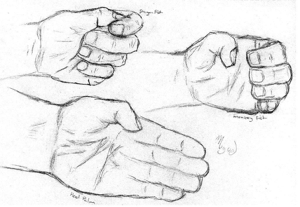 handforms by ghettowatchman on DeviantArt