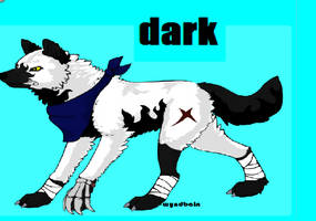 darkness the wolf