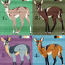 Deer adopts - 9 USD or 900 points - 2/4 OPEN