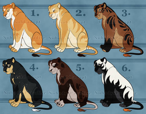 Lioness adopts - 3,50 USD or 350 points - 5/6 OPEN