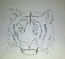 Tiger Head Practice