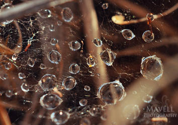 Drops