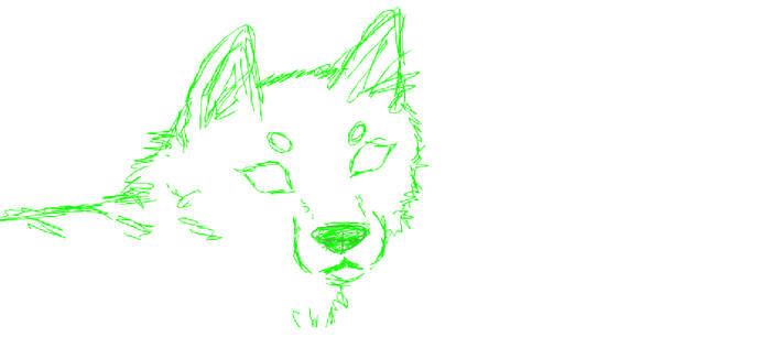 Scetch example. Dog