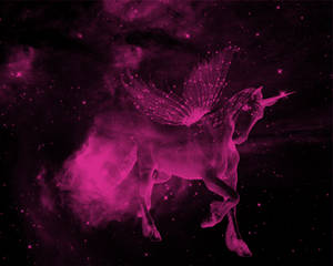 Winged horse wallpaper